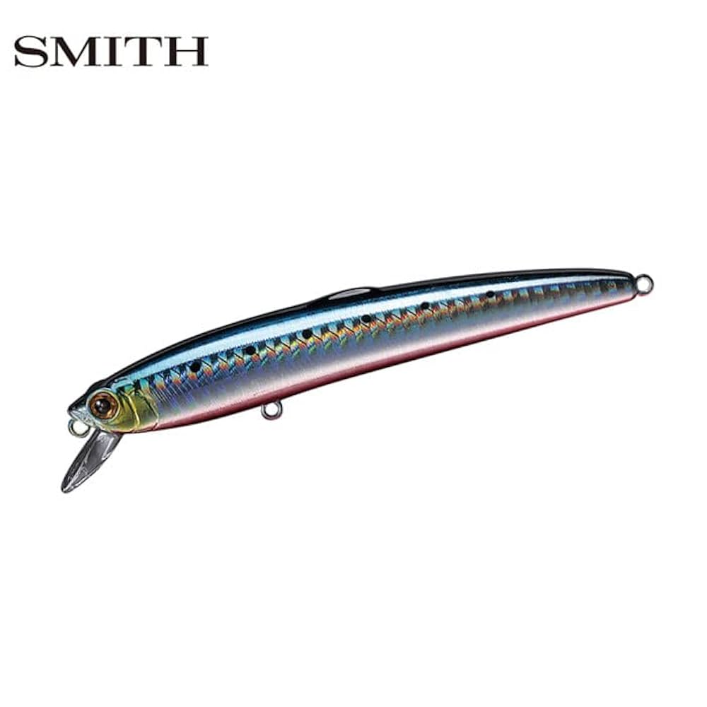 Amazon.co.jp: スミス(SMITH LTD) ミノー サラナ F 110mm 14g SD